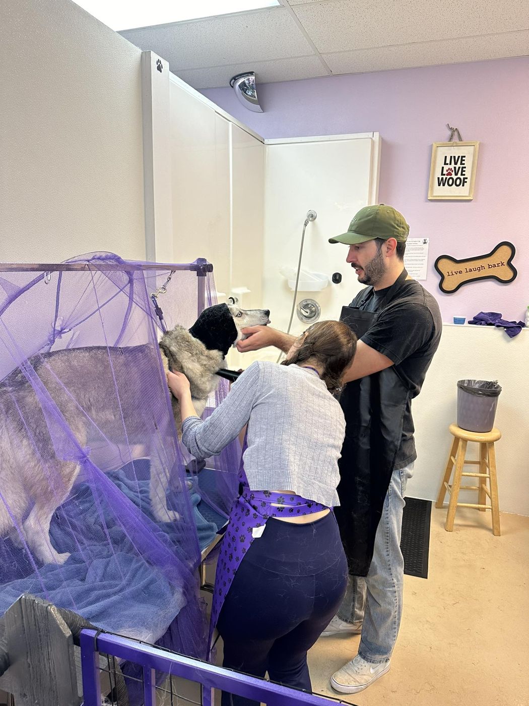 Customers grooming dogs at the K-9 Wash-N-Go self-wash stations